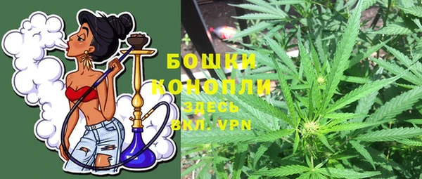 прущие грибы Белокуриха