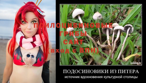 СК Заводоуковск