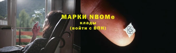 прущие грибы Белокуриха