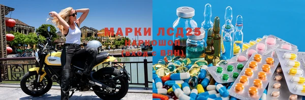 прущие грибы Белокуриха
