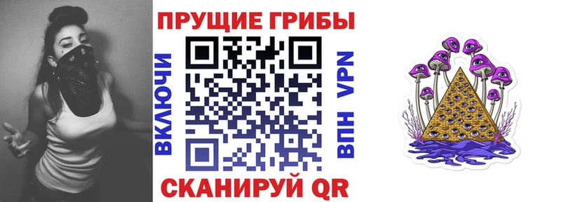 darknet какой сайт  Ясногорск  Галлюциногенные грибы Magic Shrooms 